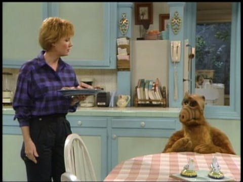 ALF - Episode 20