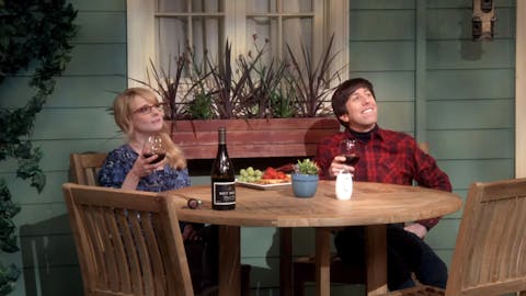 The Big Bang Theory - Episode 14