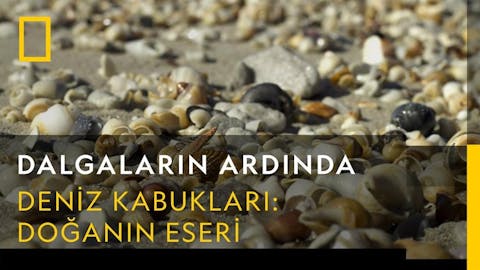 Dalgaların Ardında - Episode 2