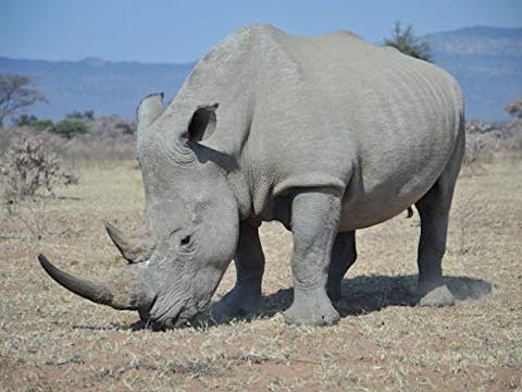 Siyaya: Come Wild with Us - Episode 15