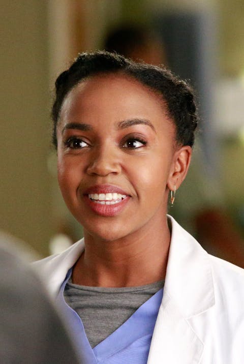 Grey's Anatomy - Episode 13
