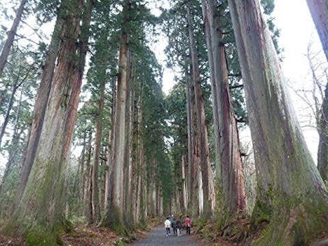 Expedition Unknown - Episode 11