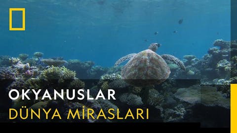 Dalgaların Ardında - Episode 13