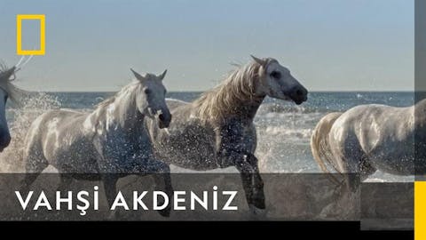 Dalgaların Ardında - Episode 7