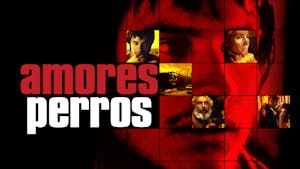 Amores Perros