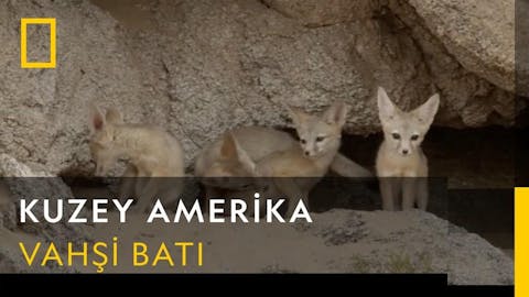 Vahşi Amerika - Episode 12