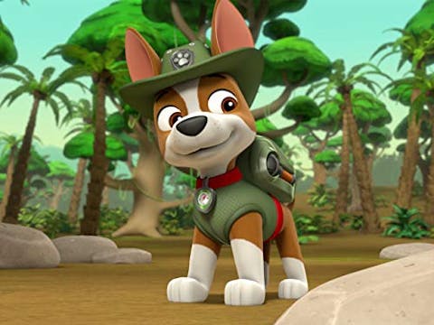 PAW Patrol - Episode 20