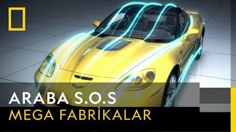 Arabalar - Episode 7