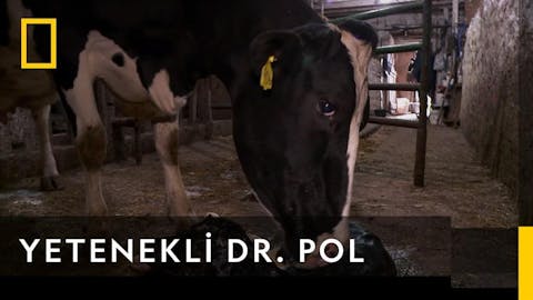 Yetenekli Dr.Pol - Episode 9