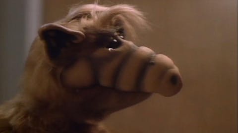 ALF - Episode 12