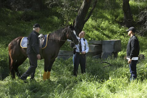 NCIS - Episode 22