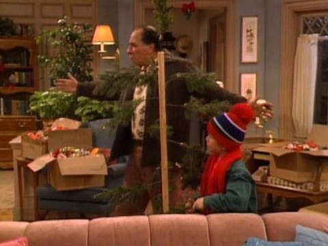 ALF - Episode 13