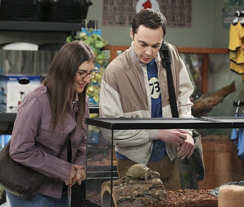 The Big Bang Theory - Episode 17
