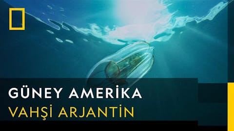 Güney Amerika - Episode 3