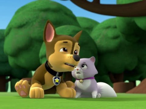 PAW Patrol - Episode 3