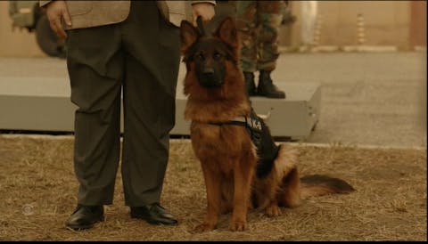 NCIS: Origins - Episode 14