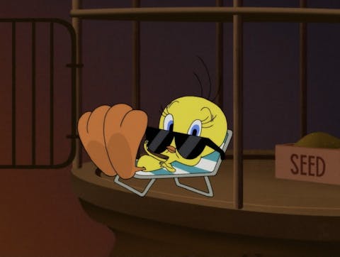 Looney Tunes Cartoons - Episode 27