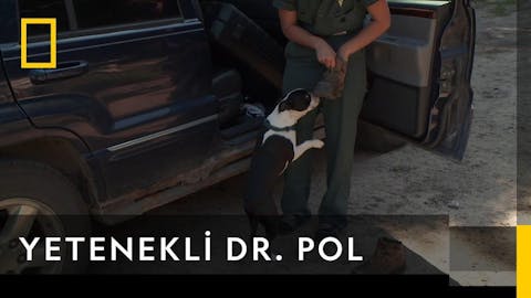 Yetenekli Dr.Pol - Episode 3