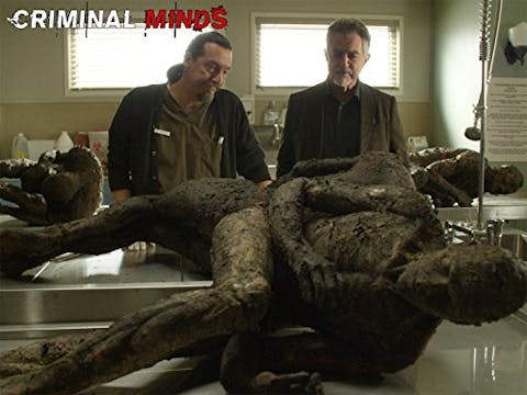 Criminal Minds - Episode 14
