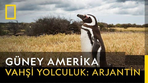 Vahşi Amerika - Episode 8