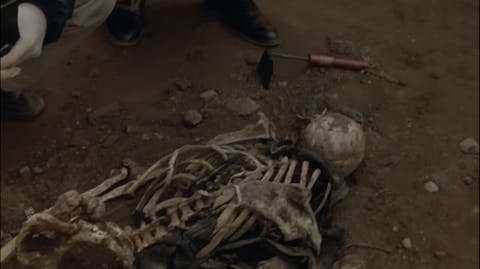 Law & Order - Episode 8