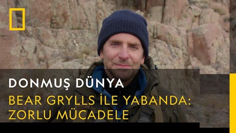 Bear Grllys ile Yabanda - Episode 6