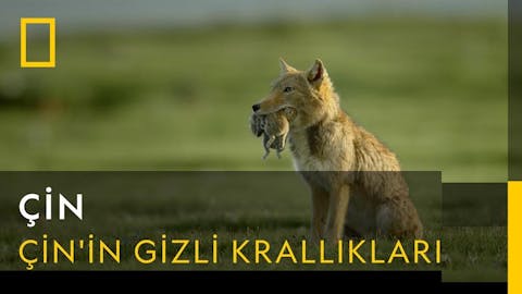 Çin - Episode 5