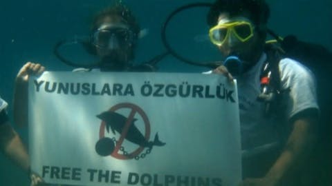 Sudaki İzler - Episode 71