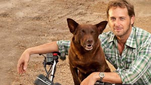 Red Dog