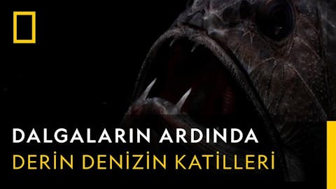Dalgaların Ardında - Episode 15