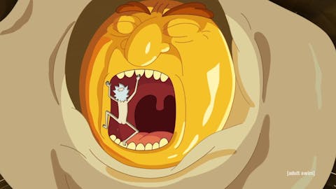 Rick and Morty - Episode 8